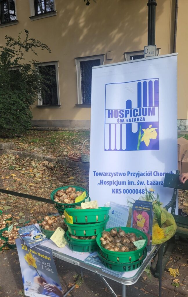 8 października 2026 r. uczniowie należący do Szkolnego Koła Wolontariatu, w ramach akcji Kiermasz Żonkilowy, kwestowali na krakowskich Plantach na rzecz Hospicjum św. Łazarza. Wolontariusze rozdawali cebulki żonkili, a także piękne, ręcznie wykonane ozdoby.