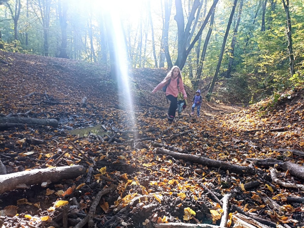 Czwartaki i pierwszaki w Lesie Wolskim!